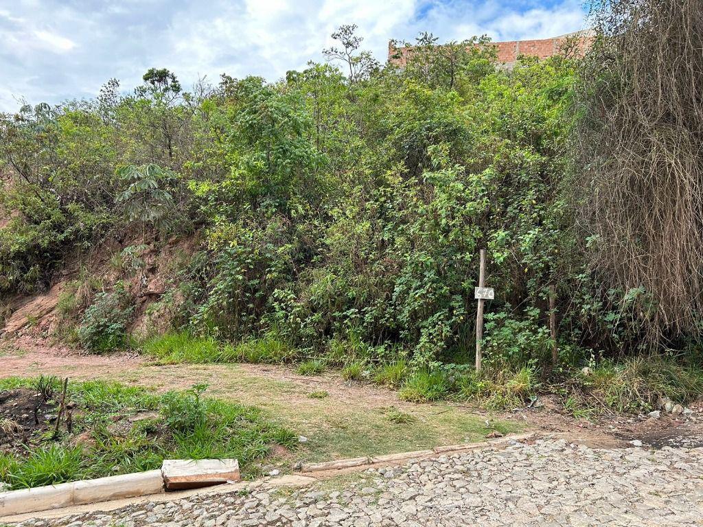Lote, Santo Antônio (roça Grande), 0 Quarto, 0 Vaga