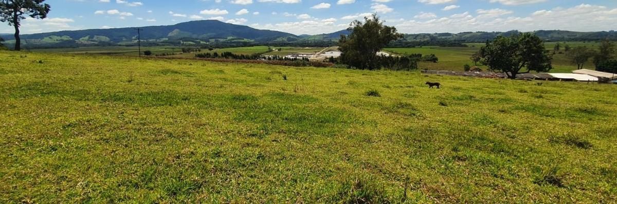 Fazenda, Centro, 4 Quartos, 2 Vagas, 1 Suíte