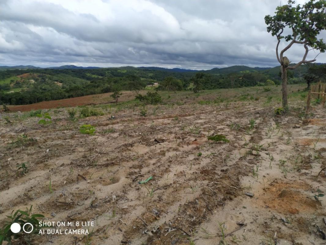 Fazenda, Centro, 0 Quarto, 0 Vaga