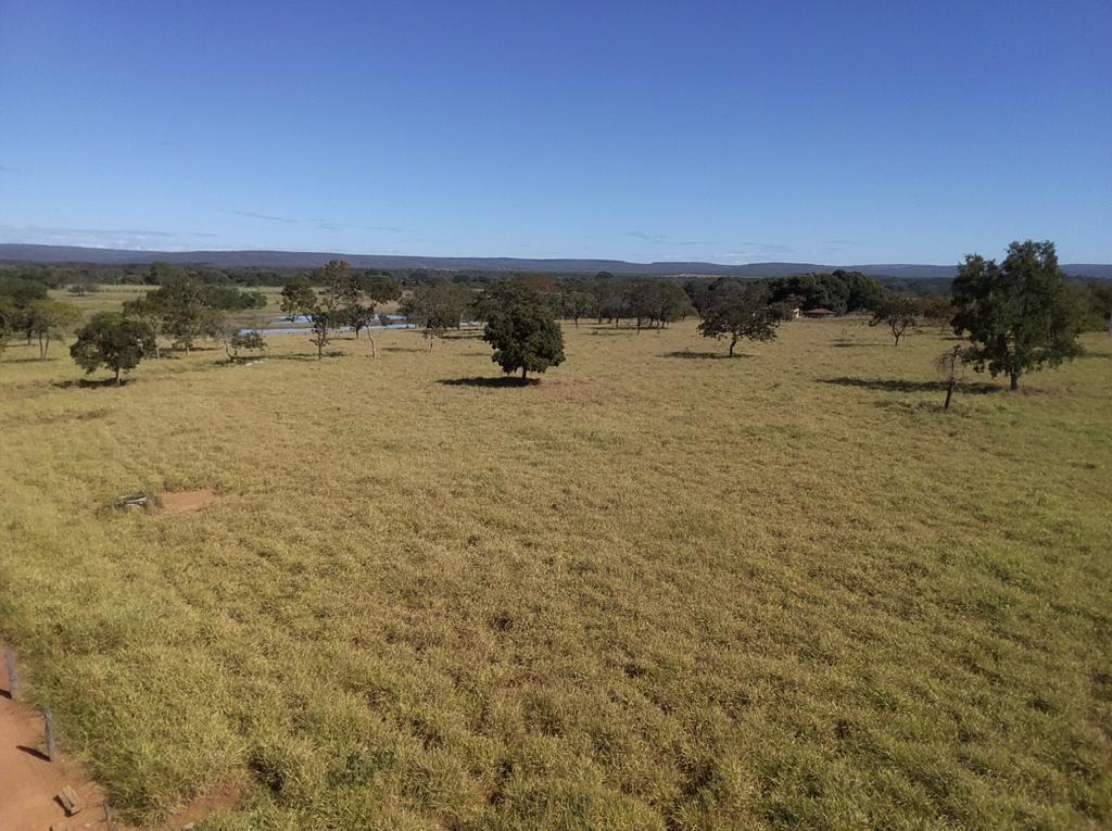 Fazenda, Centro, 3 Quartos, 0 Vaga