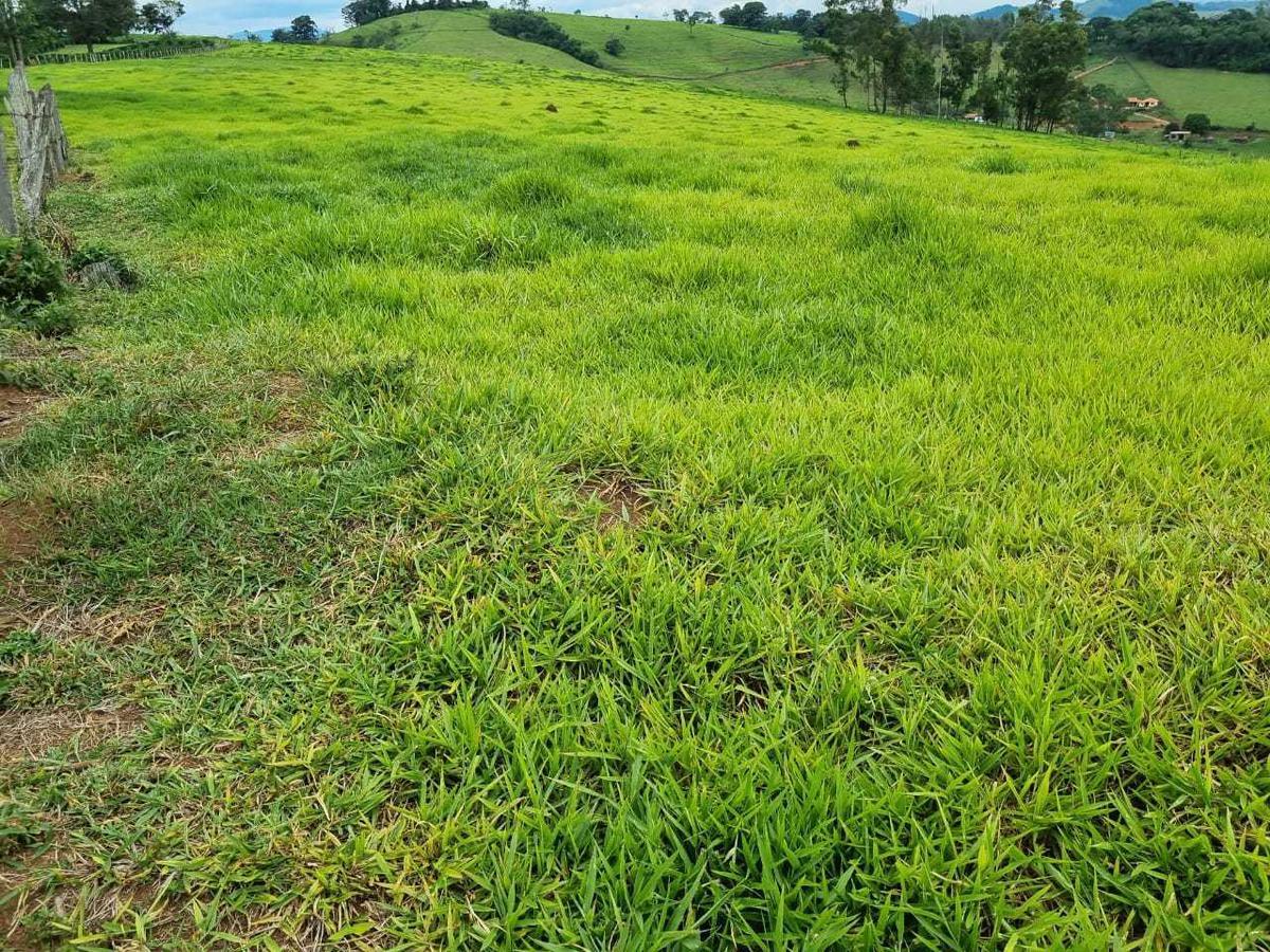 Fazenda, Zona Rural, 3 Quartos, 0 Vaga