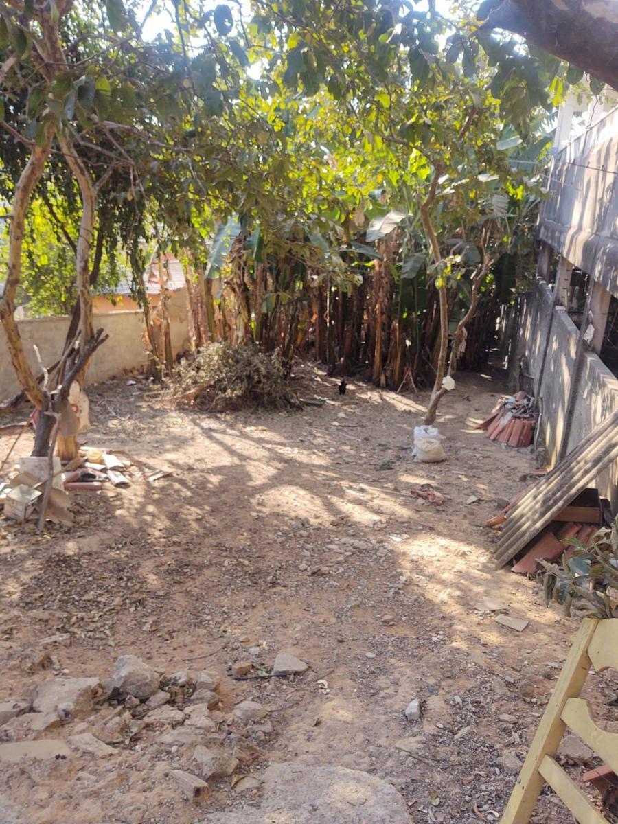 Lote, Novo Progresso, 0 Quarto, 0 Vaga