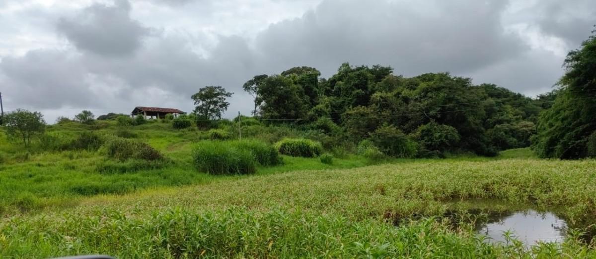 Fazenda, Zona Rural, 5 Quartos, 0 Vaga