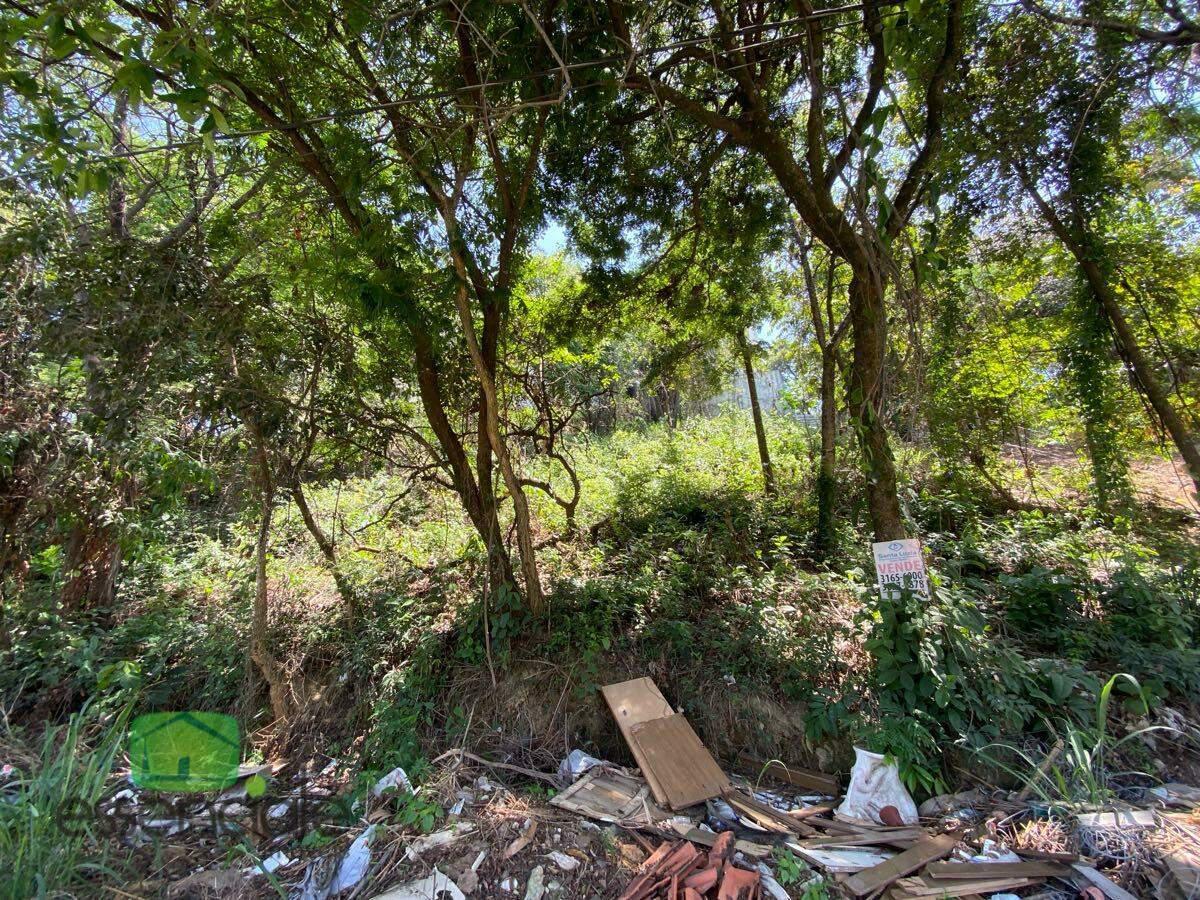 Lote, Alvorada, 0 Quarto, 0 Vaga