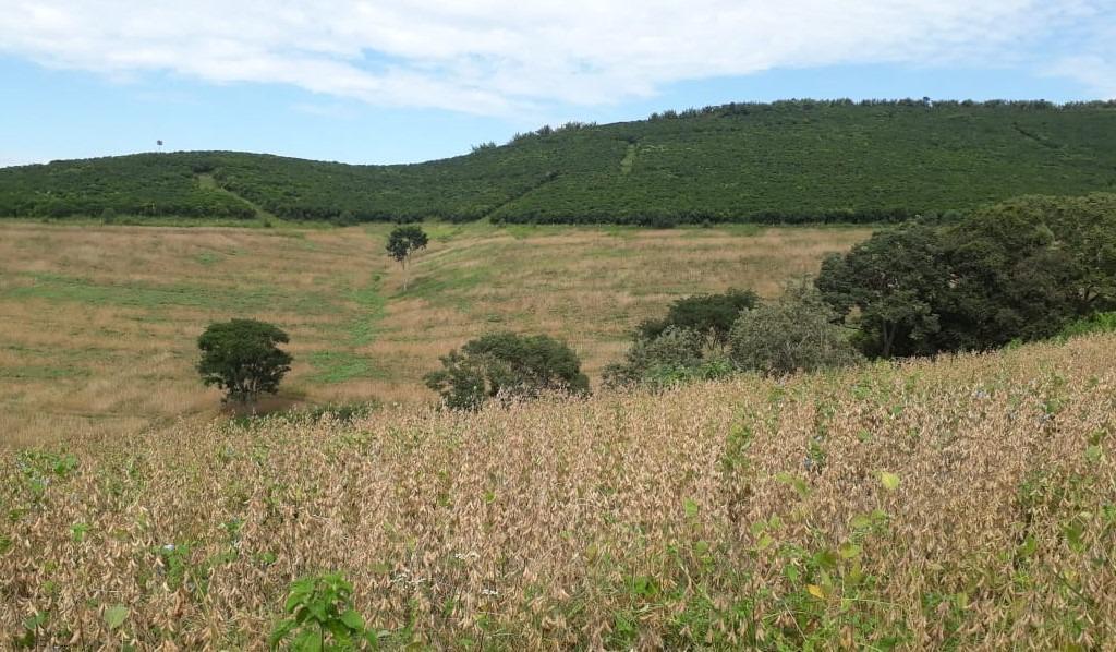 Fazenda, Zona Rural, 6 Quartos, 0 Vaga, 2 Suítes