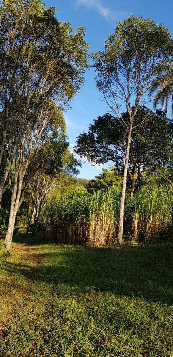 Fazenda, Souza, 3 Quartos, 20 Vagas, 1 Suíte