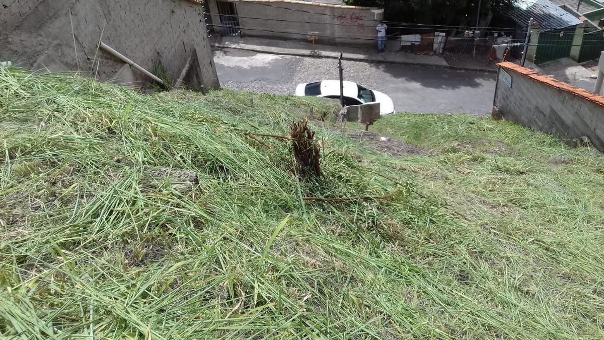 Lote, Nova Floresta, 0 Quarto, 0 Vaga