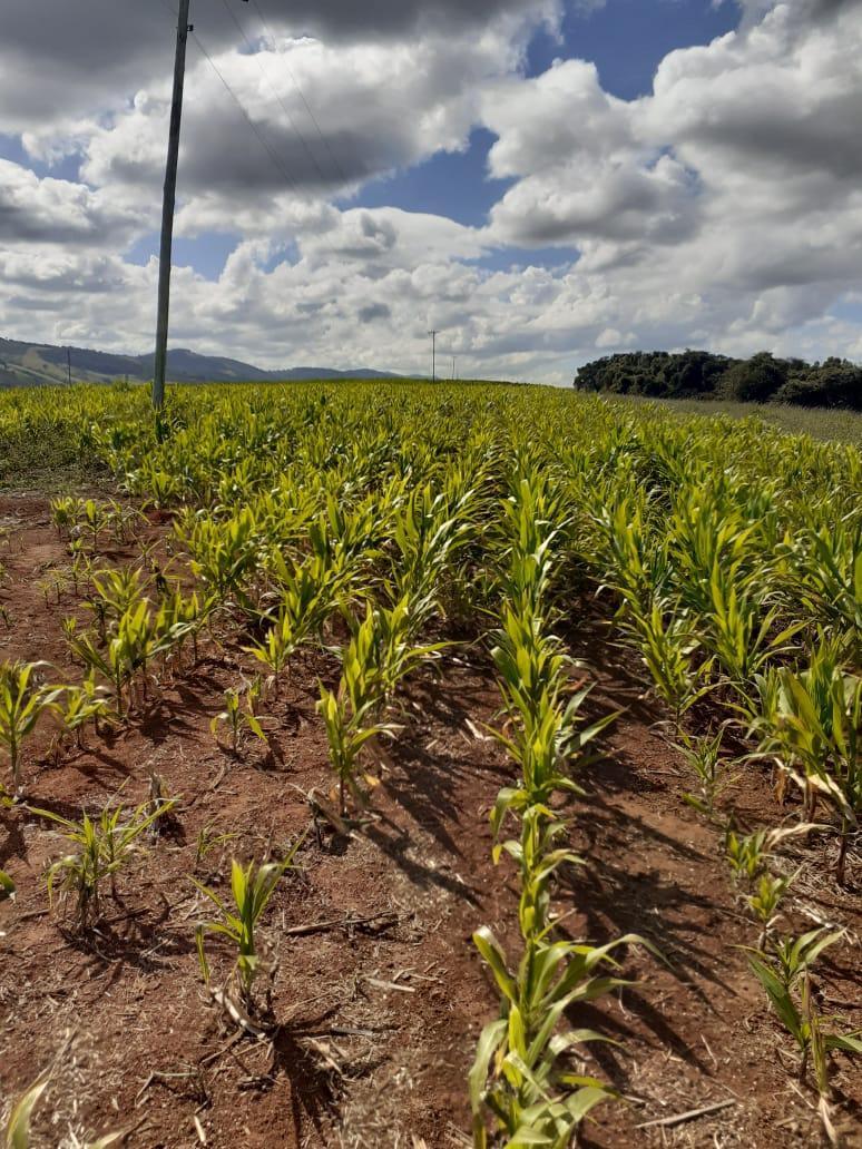 Fazenda, Zona Rural, 1 Quarto, 1 Vaga, 1 Suíte