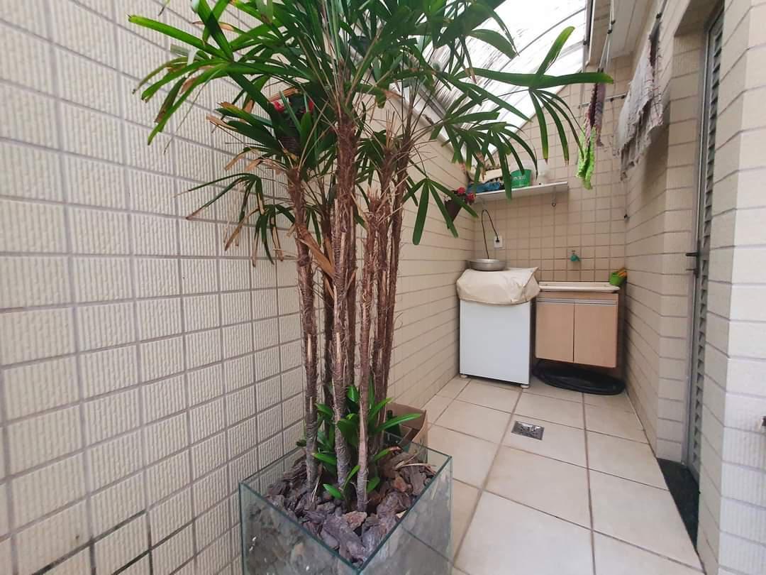Apartamento, Castelo, 3 Quartos, 2 Vagas, 1 Suíte
