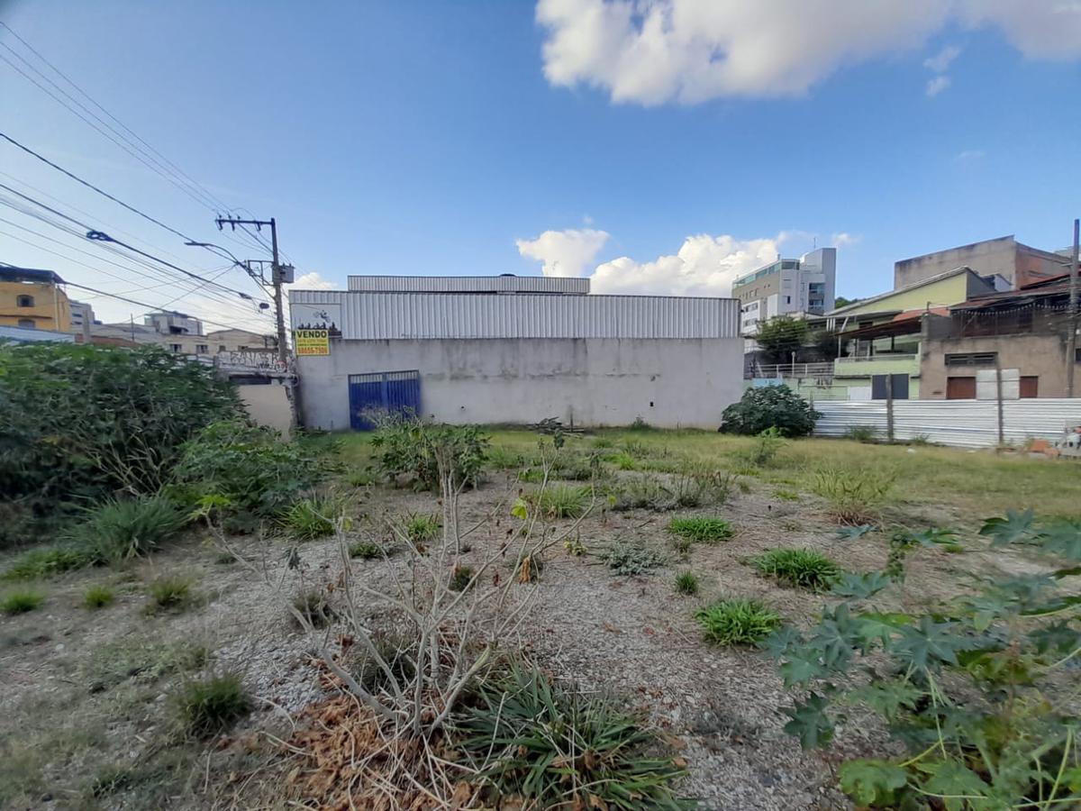 Lote, Floresta, 0 Quarto, 0 Vaga