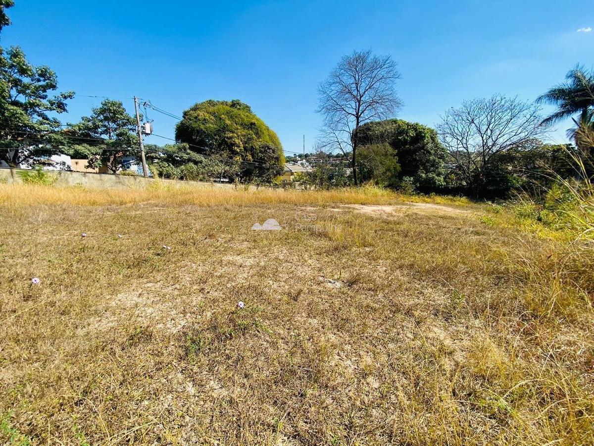 Lote, São Luiz (pampulha), 0 Quarto, 0 Vaga