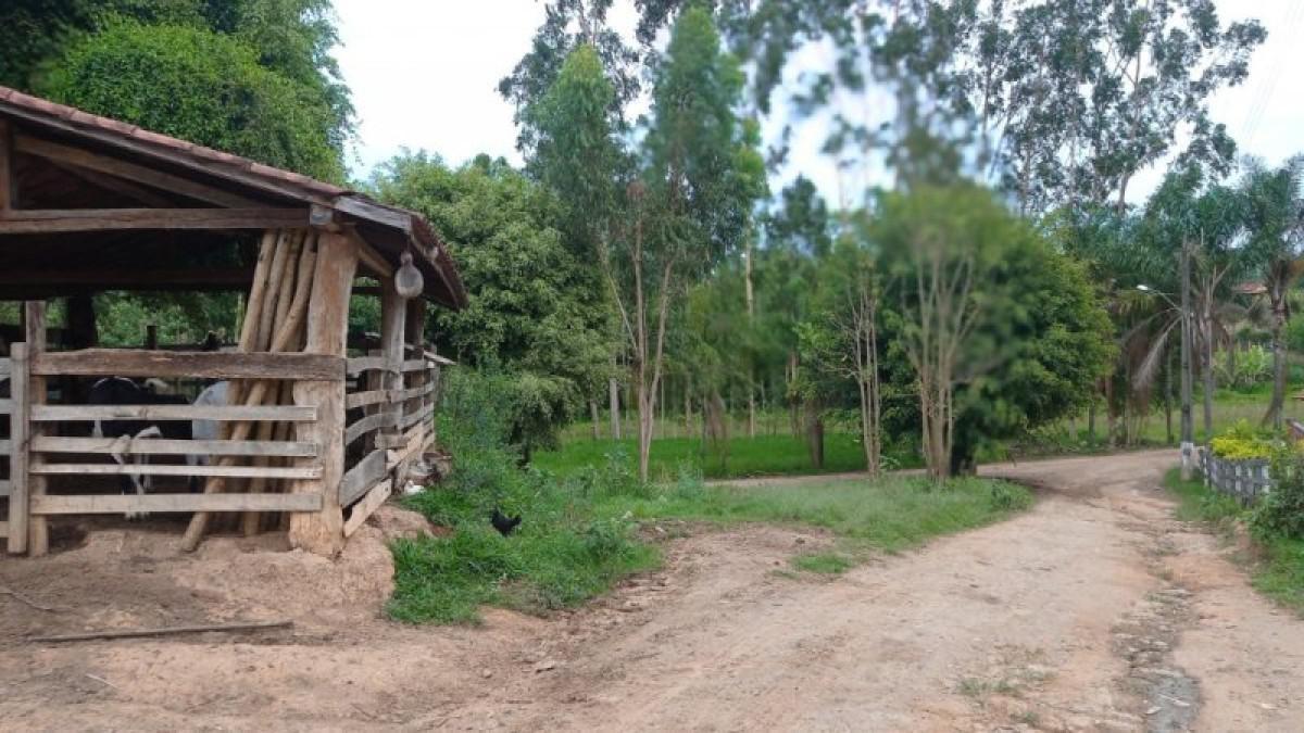 Fazenda, Centro, 6 Quartos, 3 Vagas