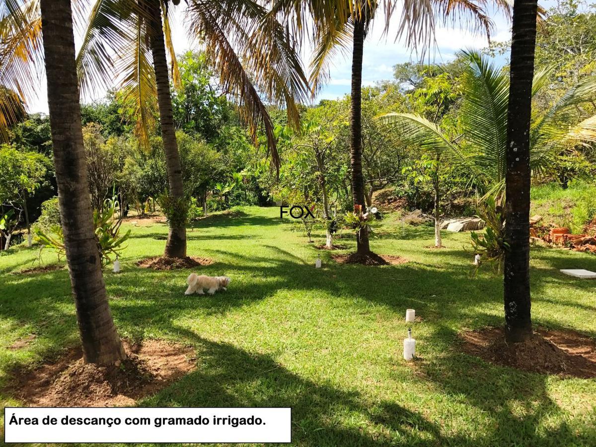 Fazenda, Inácia de Carvalho, 5 Quartos, 0 Vaga