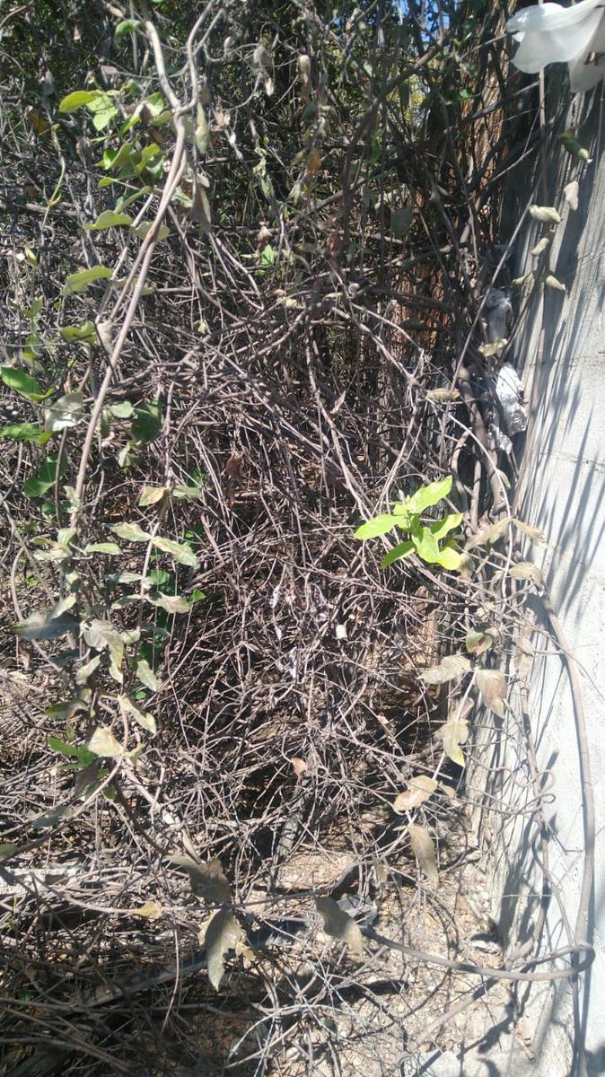 Lote, Chácaras Reunidas Santa Terezinha, 0 Quarto, 0 Vaga