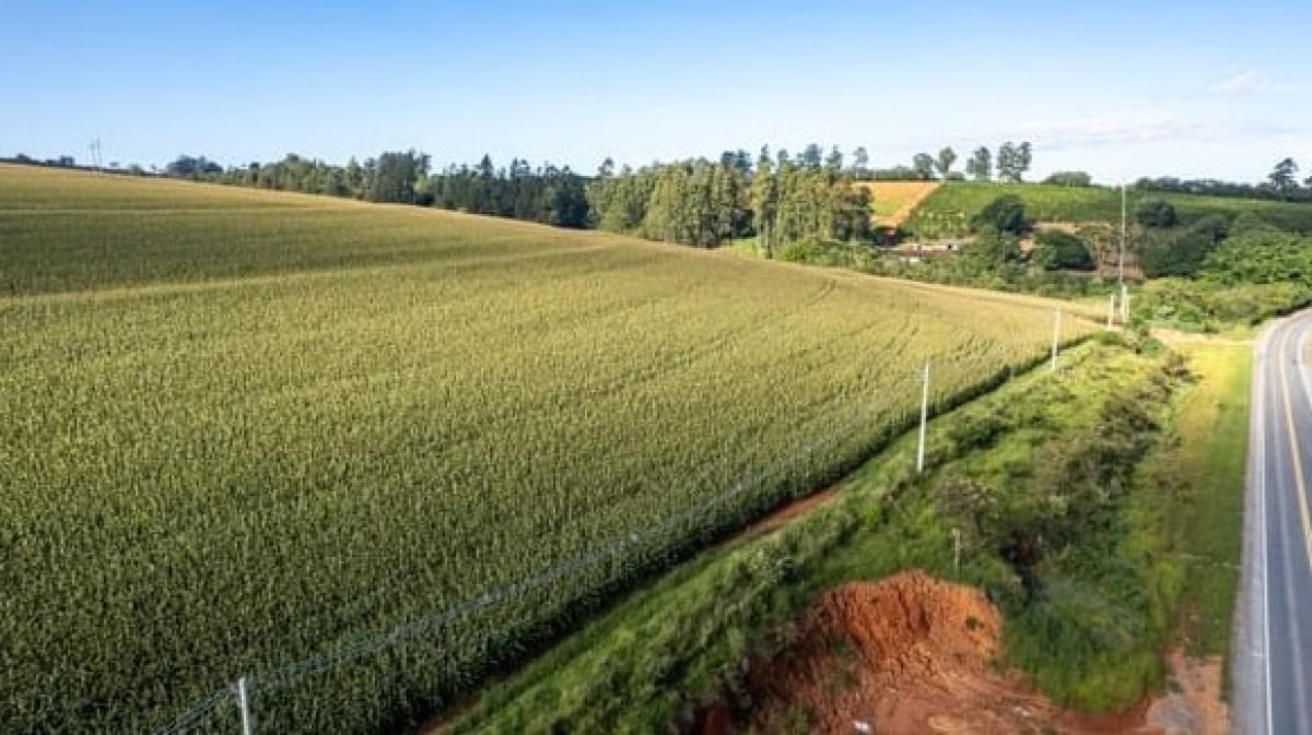 Fazenda, Zona Rural, 0 Quarto, 0 Vaga