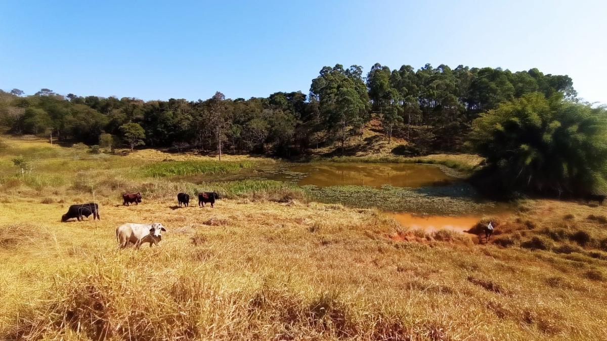 Fazenda, Zona Rural, 0 Quarto, 0 Vaga