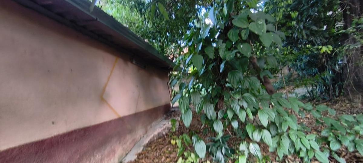 Lote, Santa Cruz, 0 Quarto, 0 Vaga