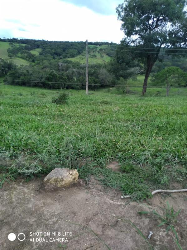 Fazenda, Centro, 0 Quarto, 0 Vaga