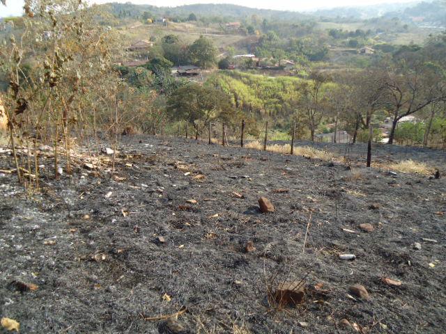 Lote, Quintas do Lago, 0 Quarto, 0 Vaga
