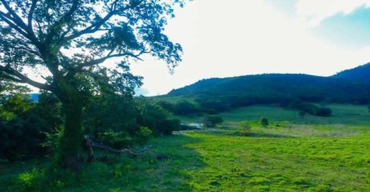 Fazenda, Zona Rural, 0 Quarto, 0 Vaga