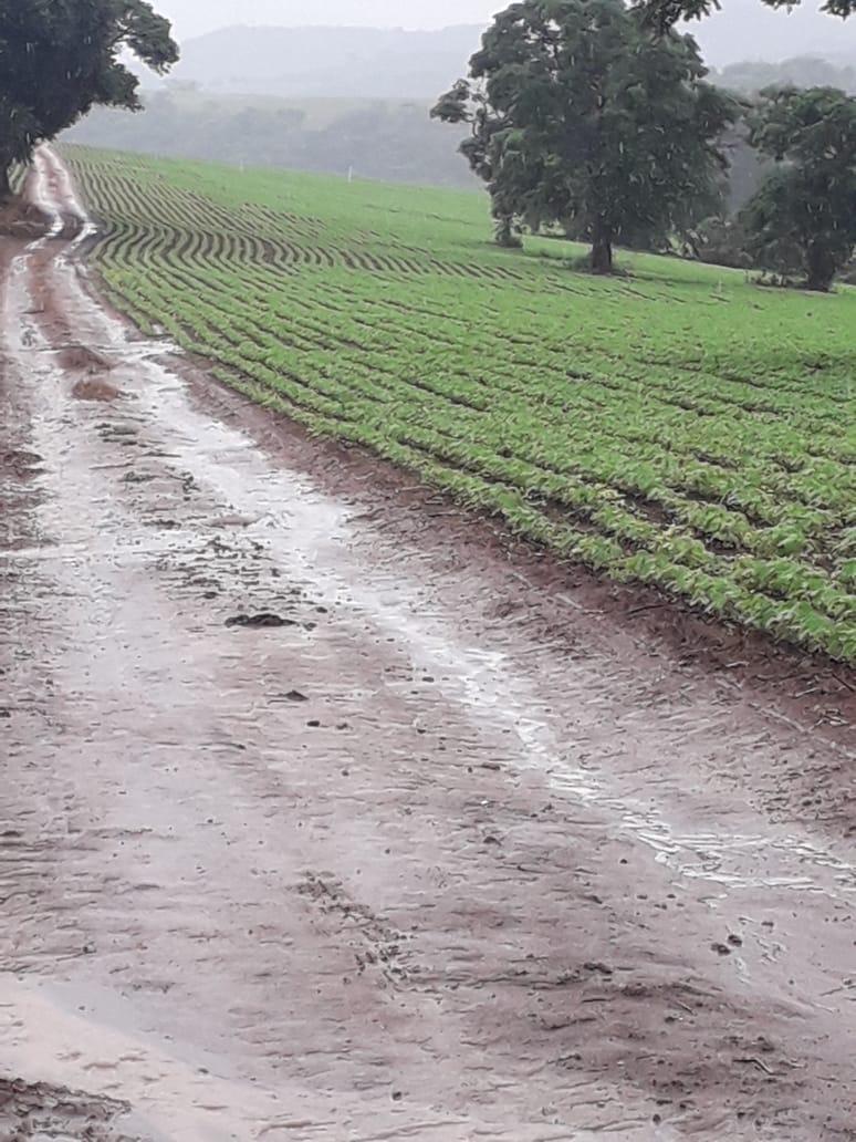 Fazenda, Centro, 1 Quarto, 1 Vaga, 1 Suíte