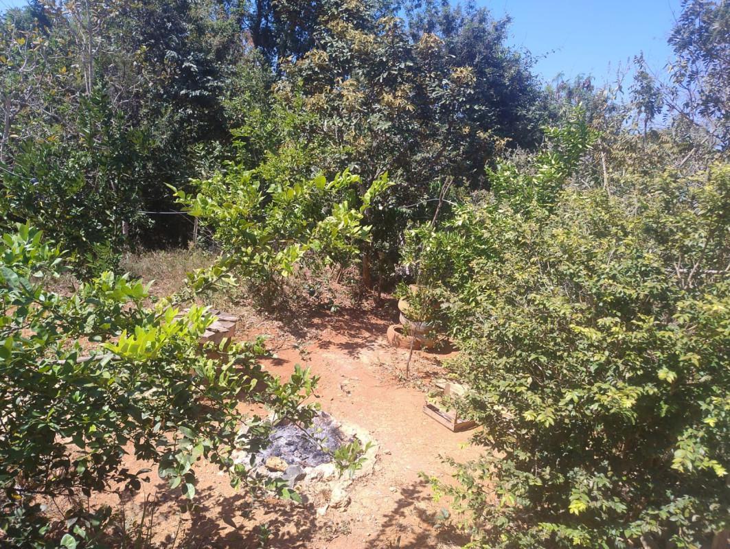 Fazenda, São Jose de Almeida, 3 Quartos, 2 Vagas