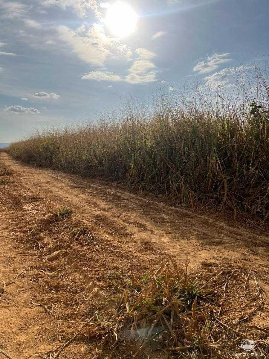 Fazenda, Zona Rural, 3 Quartos, 0 Vaga