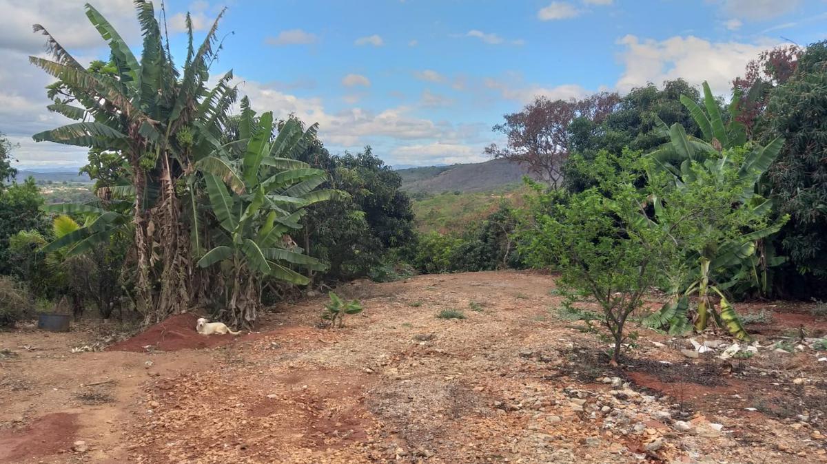 Lote, Palmital, 0 Quarto, 0 Vaga