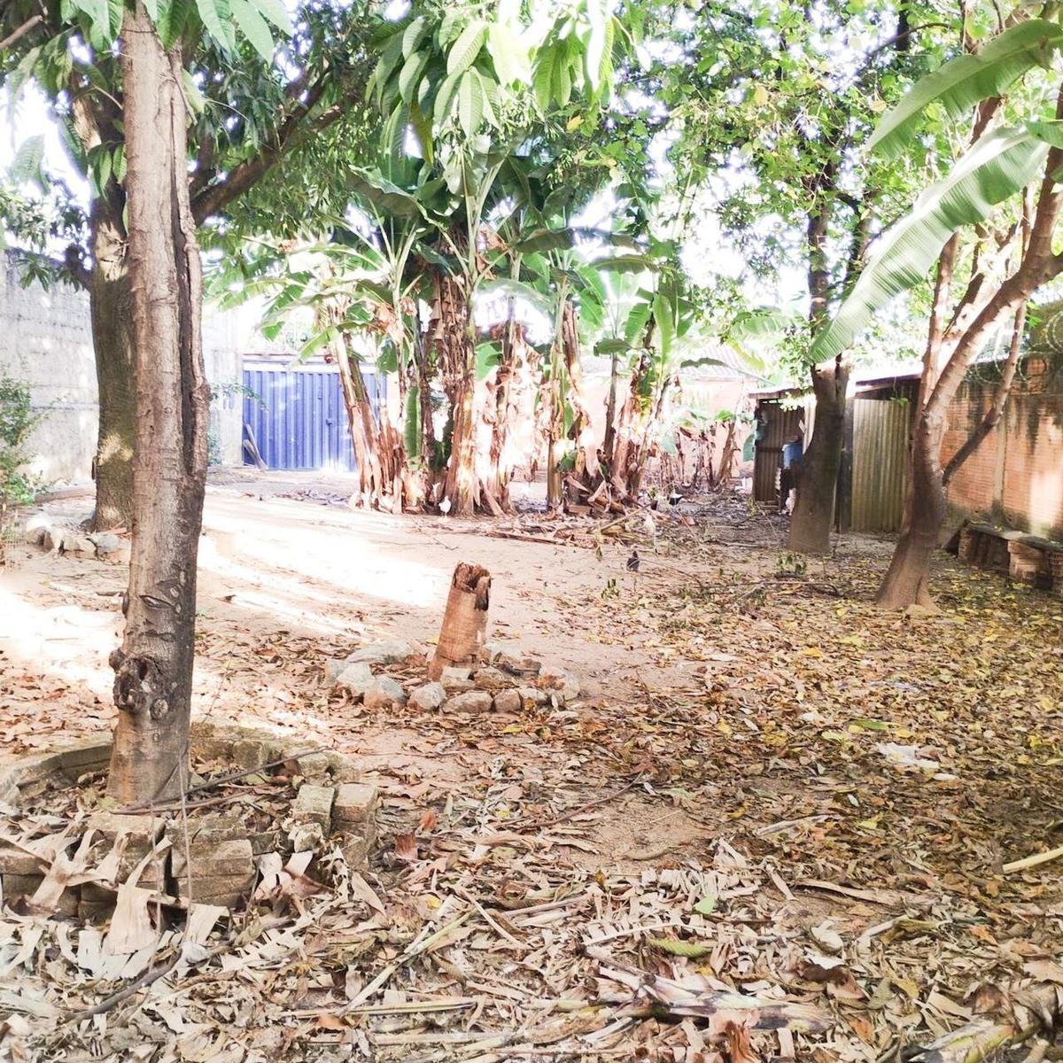 Lote, Serrano, 1 Quarto, 8 Vagas