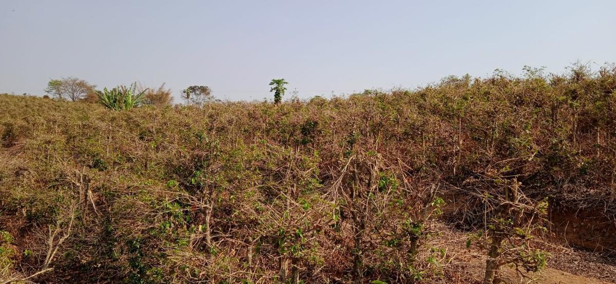 Fazenda, Zona Rural, 0 Quarto, 0 Vaga
