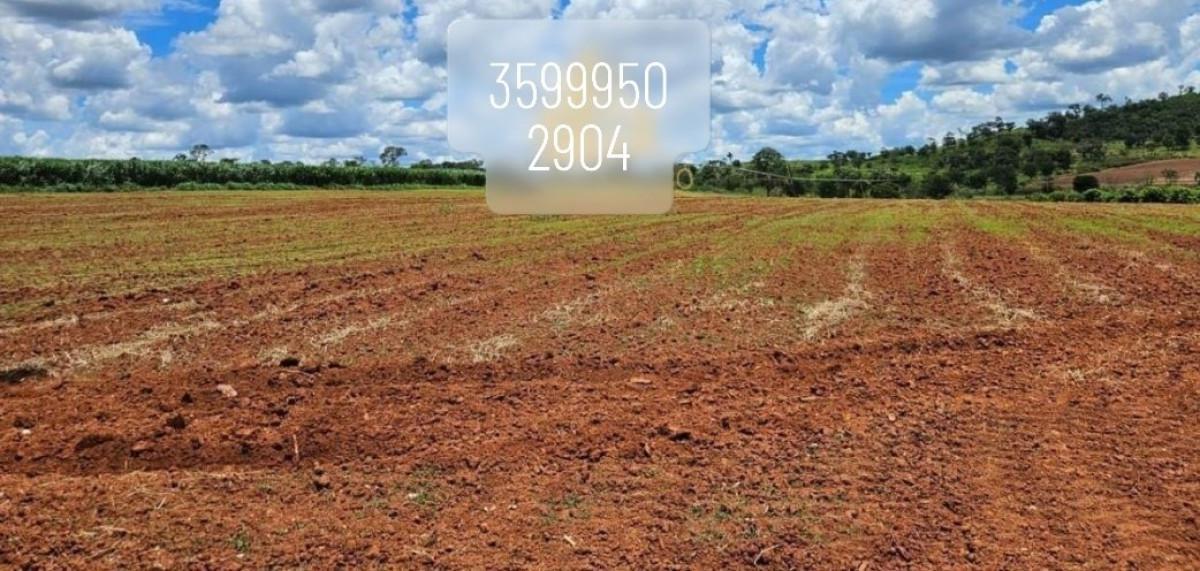 Fazenda, Zona Rural, 0 Quarto, 0 Vaga