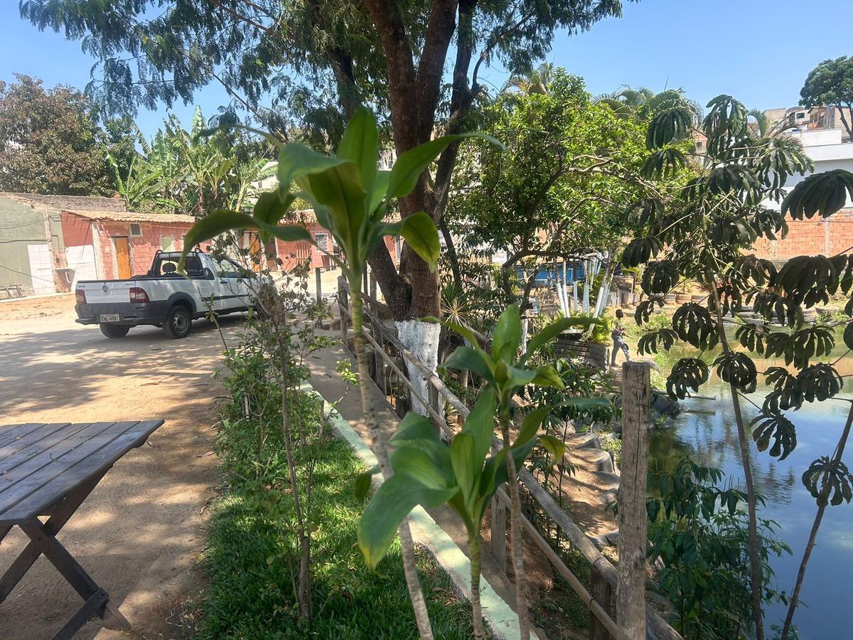 Lote, Trevo, 5 Quartos, 5 Vagas