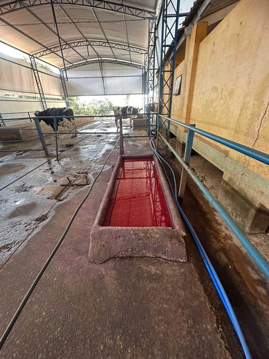 Fazenda, Centro, 6 Quartos, 4 Vagas, 1 Suíte