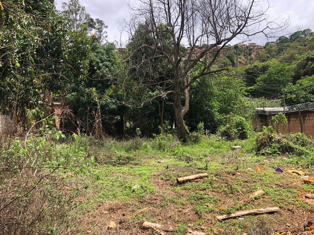 Lote, Santo Antônio (roça Grande), 0 Quarto, 0 Vaga