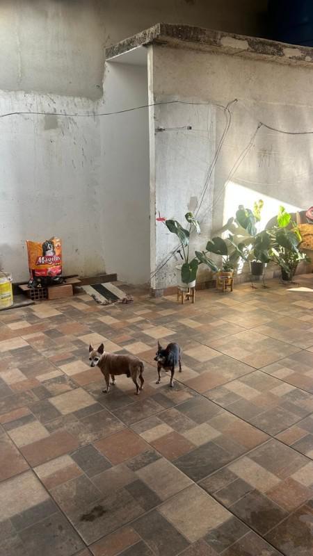 Casa, Solar do Barreiro, 4 Quartos, 3 Vagas