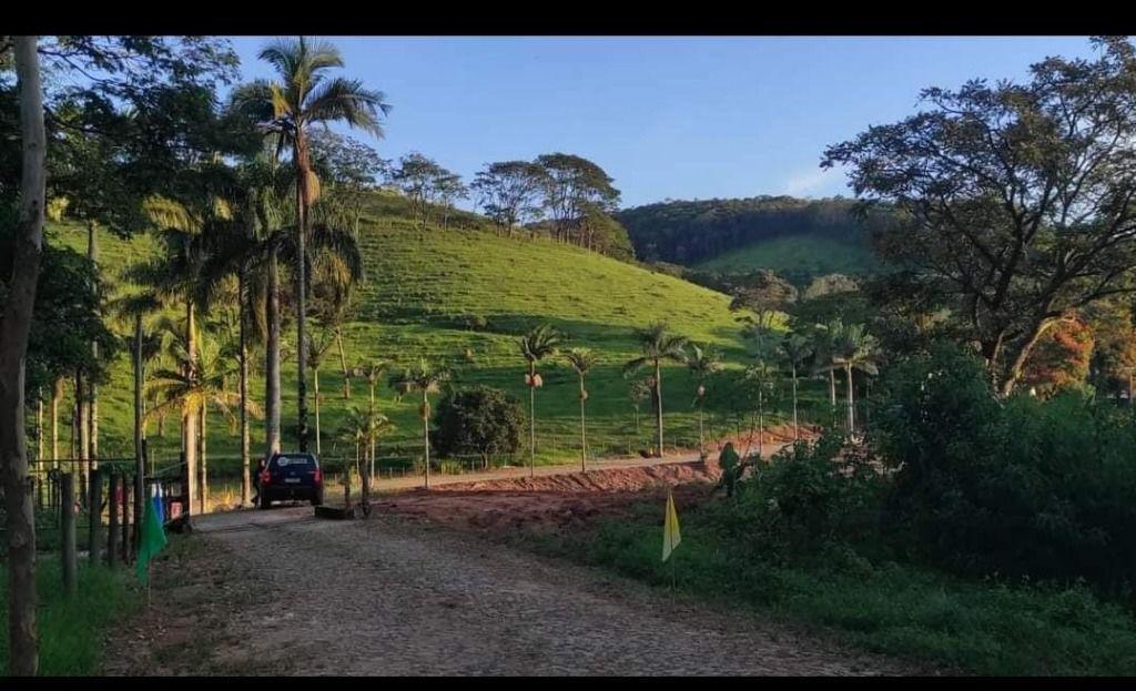Lote, São José, 0 Quarto, 0 Vaga