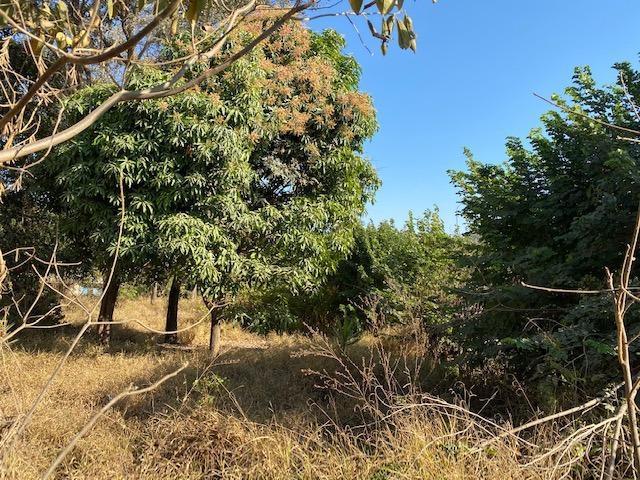 Lote, São José, 0 Quarto, 0 Vaga