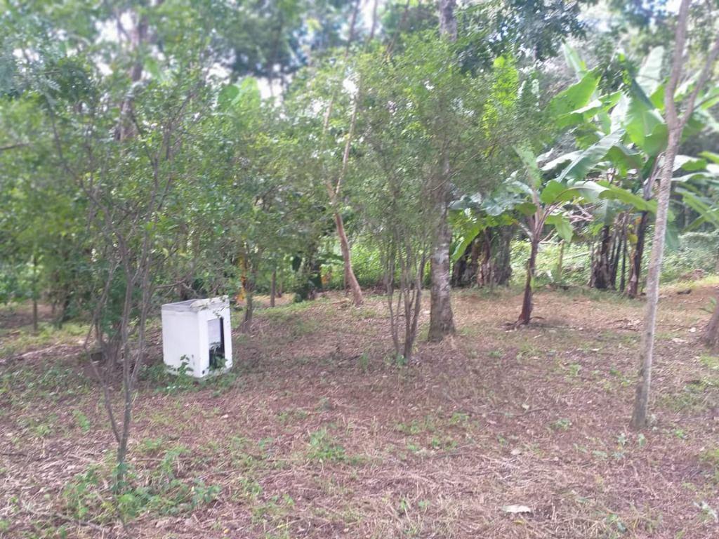 Fazenda, Ravena, 3 Quartos, 10 Vagas, 1 Suíte