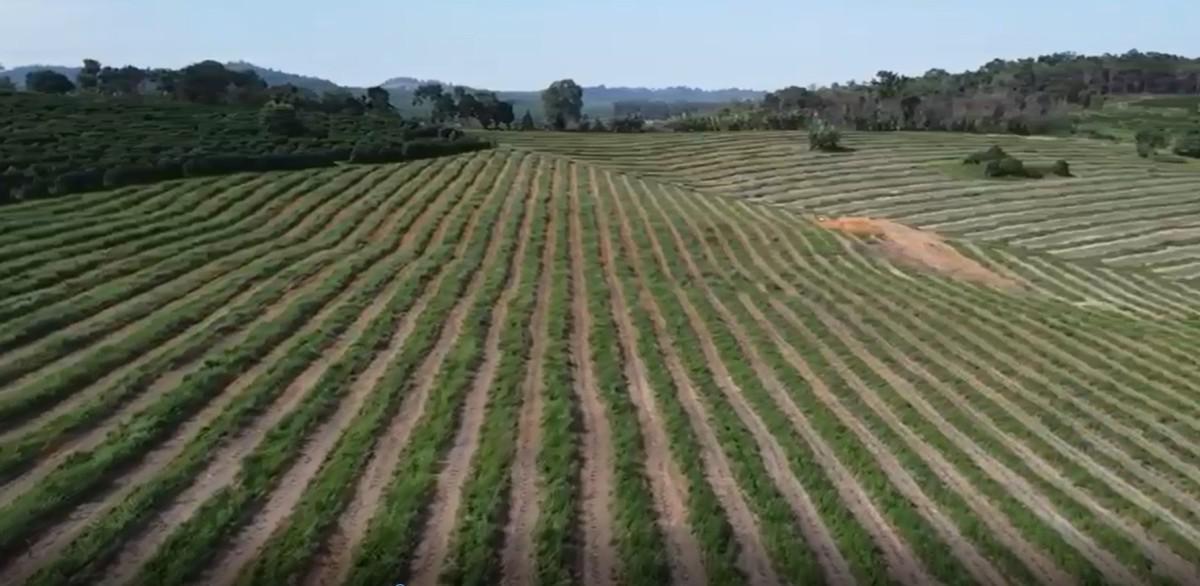 Fazenda, Zona Rural, 0 Quarto, 0 Vaga