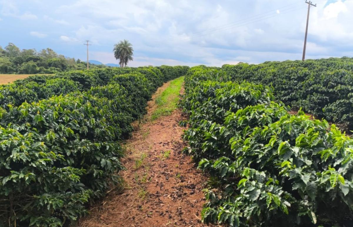 Fazenda, Zona Rural, 0 Quarto, 0 Vaga