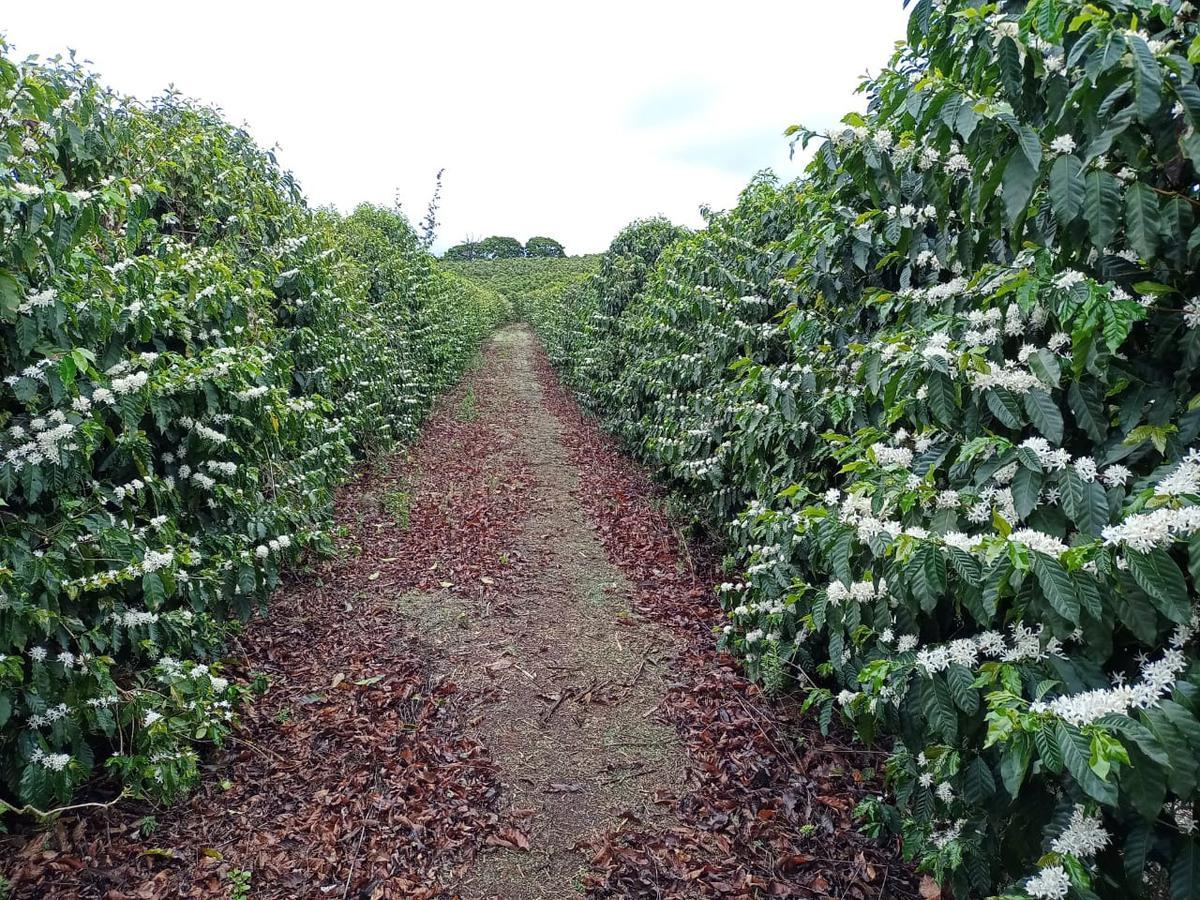 Fazenda, Zona Rural, 0 Quarto, 0 Vaga