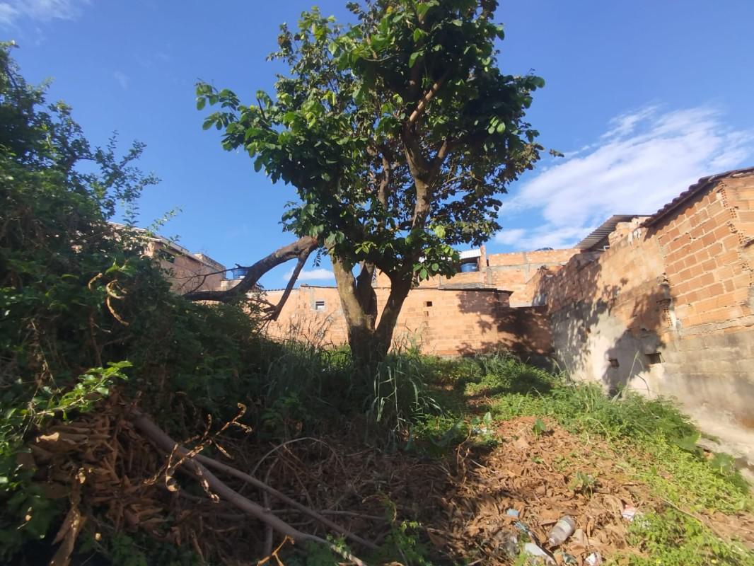 Lote, Rosimeire (justinópolis), 0 Quarto, 0 Vaga