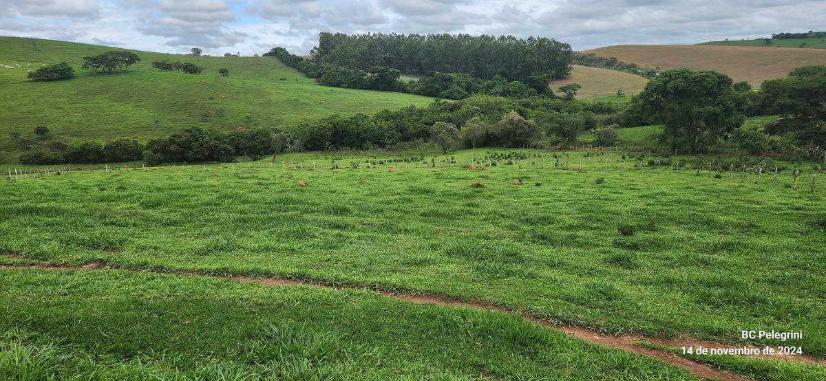 Fazenda, Centro, 3 Quartos, 0 Vaga