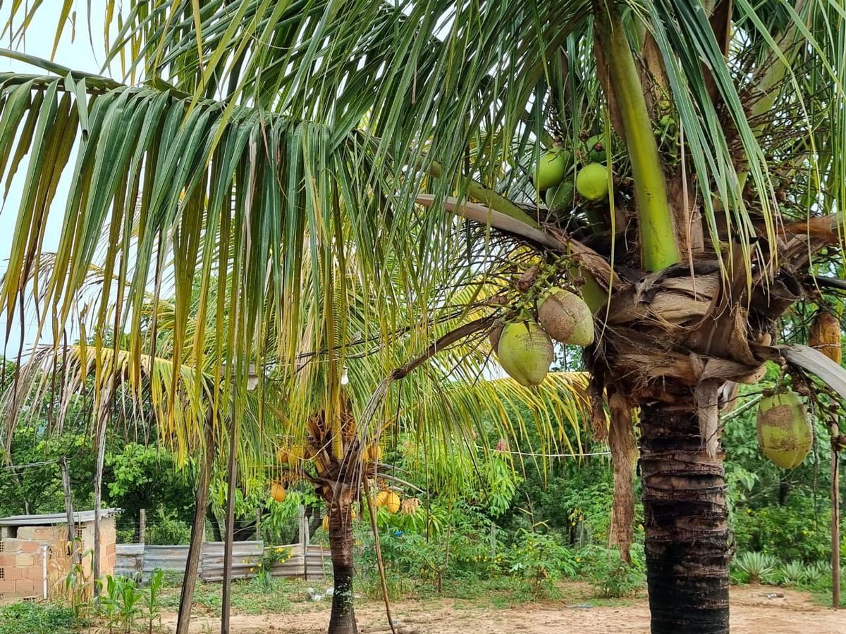Fazenda, São José, 2 Quartos, 0 Vaga, 2 Suítes