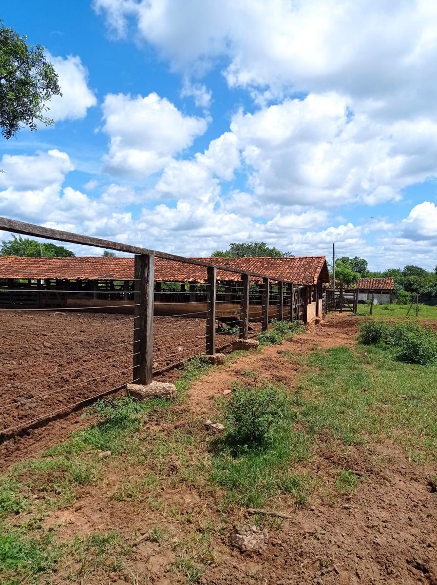 Fazenda, Buriti Grande
