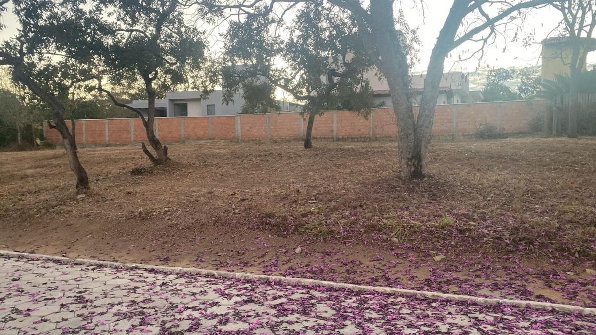 Lote, Palmital, 0 Quarto, 0 Vaga
