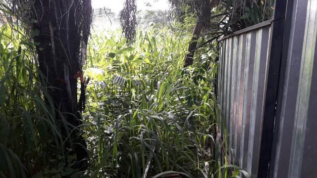 Lote, Chácara Cotia