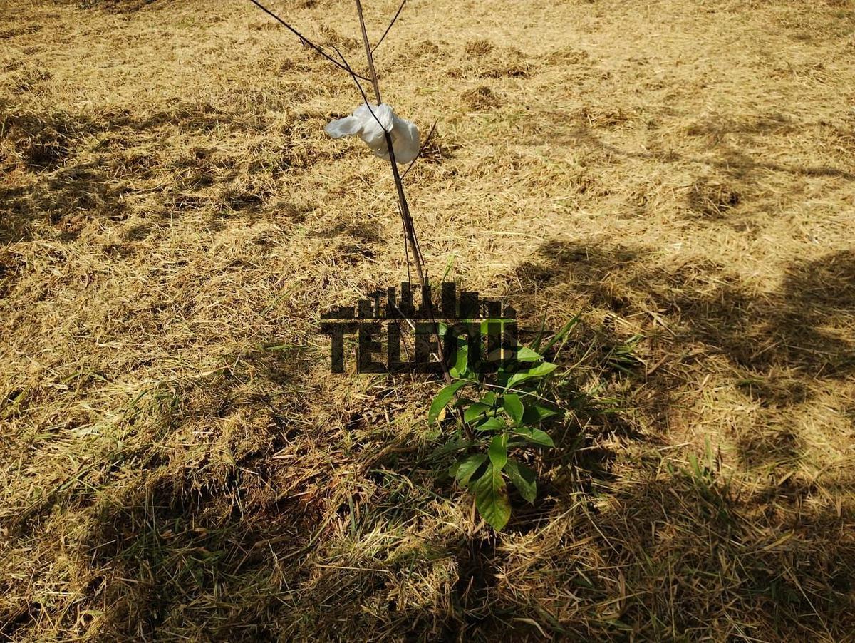 Fazenda, Parque Mariela, 0 Quarto, 0 Vaga