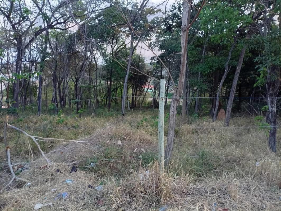 Lote, Bom Jesus, 0 Quarto, 0 Vaga