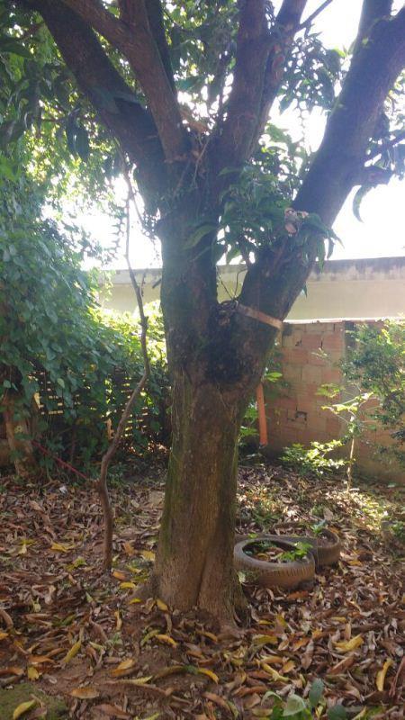 Casa, São João, 3 Quartos, 2 Vagas